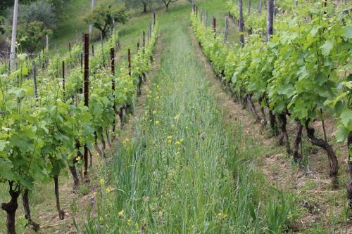 Agriturismo La Rovere – Alba, NY