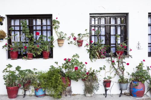 Olerki by Smiling Rentals - image 7