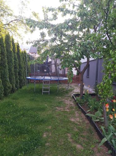 Apartament u Doroty