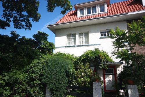 De Pimpelmees, Haag
