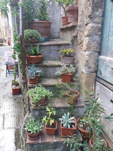  LA BICO' in Pitigliano