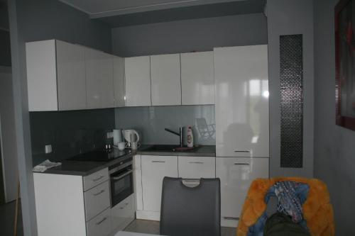 One-Bedroom Apartment with Balcony image 7