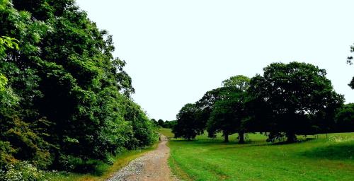 Wortley Hall Ltd
