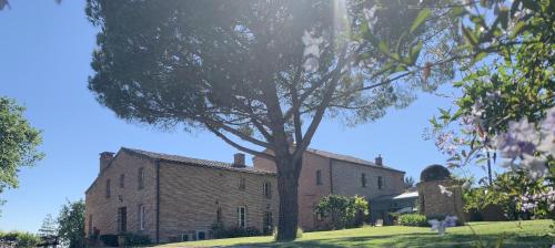 Le Manoir Saint Clair - Chambre d'hôtes - Balma