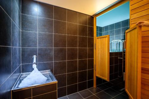 Park Holiday Congress & Wellness Hotel – Prague, NY