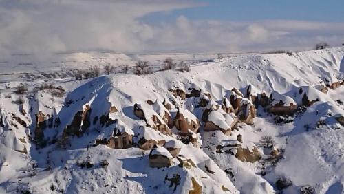 PİGEON HOTEL - image 12
