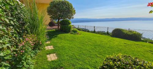 Apartments Villa Krasa - main image