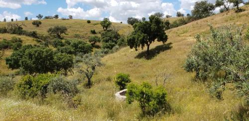 MONTE ANNA 4