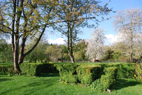 Gites aux Fleurs de Cerises - Épinay-Champlâtreux