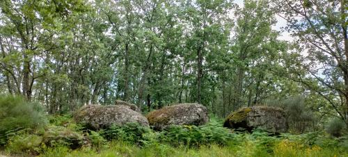 Hotel Rural San Giles - image 13