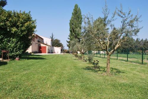 La Maison d'Albert - Location saisonnière - Cadenet