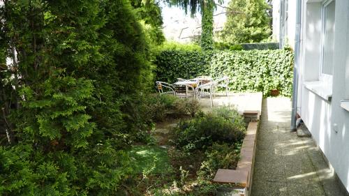 Pension FOX - image 4