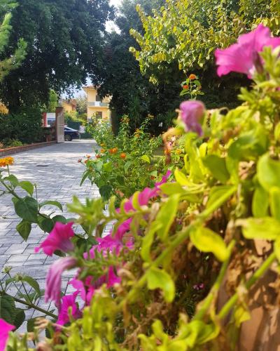 Hotel Bellonda – Forte dei Marmi, MN
