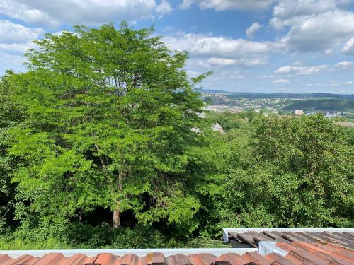 Six - ONE SEVEN, Koblenz (Foto 4)