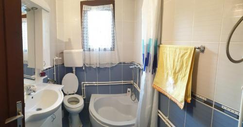 Apartmani Angelina Jošanička Banja - image 4