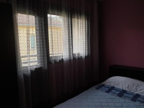 Apartmani Angelina Jošanička Banja - image 7