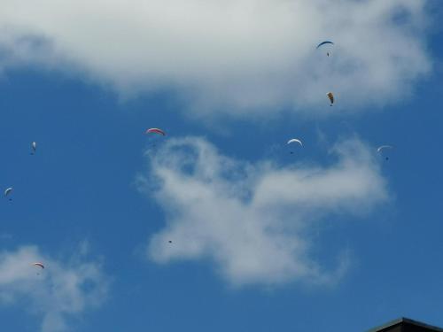 Seppl, Bremm (foto 4)