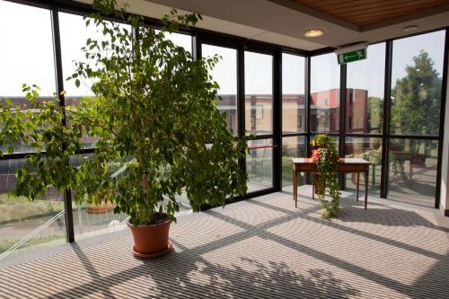 Best Western Mirage Hotel Fiera - image 2