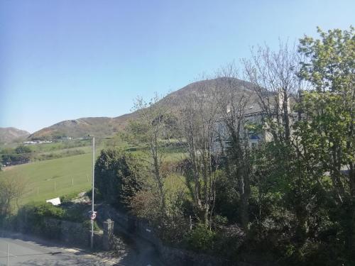Llys Madoc The Top Flat - image 13