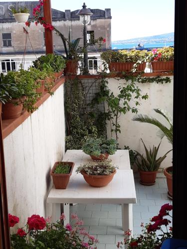 La Terrazza sul porto – Castellammare di Stabia, CO