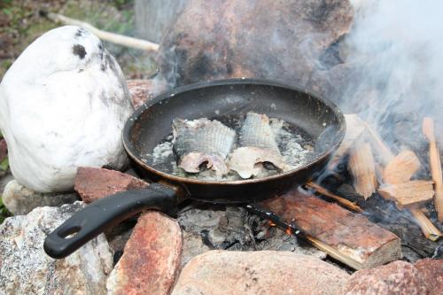 Särkijärven Majat