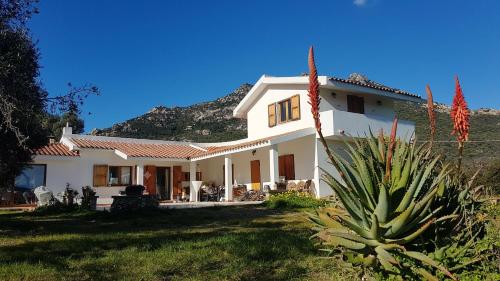  Holiday home Via Gala Antonio, Pension in Olbia