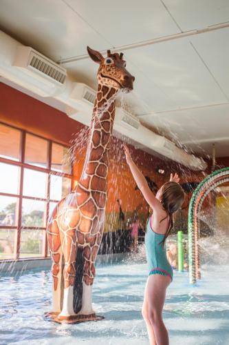 健身中心/健身設施