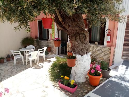 Bejárat, Αrgo Studios in Pythagoreio