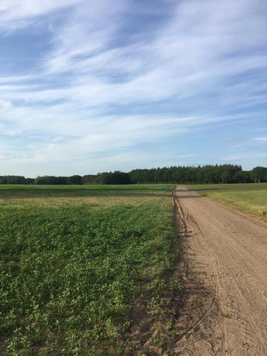 Surrounding environment, Sloaperij de Butenbelt in Buurtschap Giethmen