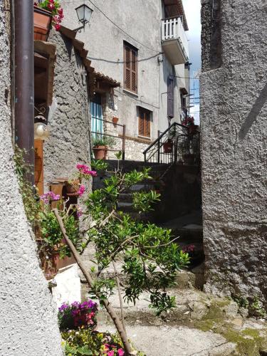 Casa di Marina-Trevi in Other