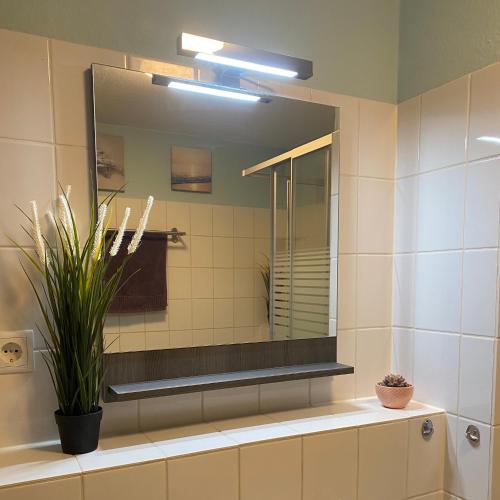 Newly refurbished Apartment