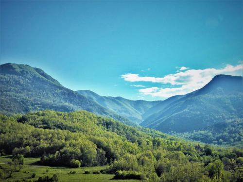 Hotel Santoli photo 4
