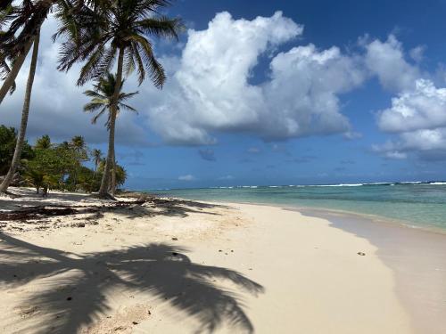 Gites titanse, Le jardin d'Antonin in Capesterre-de-Marie-Galante