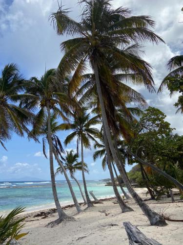 Gites titanse, Le jardin d'Antonin in Capesterre-de-Marie-Galante
