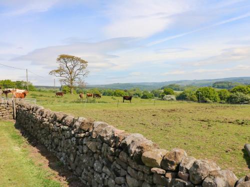 Wigwell Barn