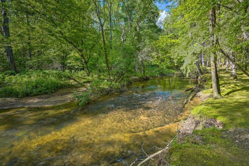 Park Setting at Tellico Plains Cabin on 25 Acres! - image 10