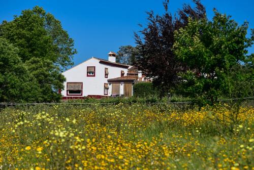 Quinta da Dourada - image 9