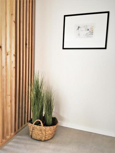 Cardeal Suites & Apartments - image 3