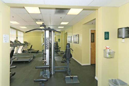 We Are Open, Beachfront, and Booking! 3 Bed Beachfront Beauty at the Apollo!!