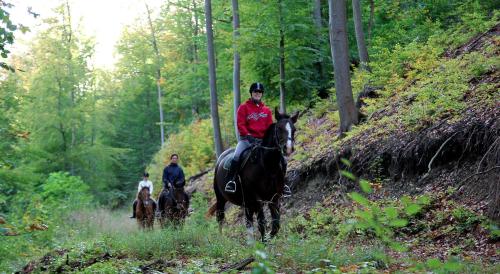 Landgasthof Probstei Zella