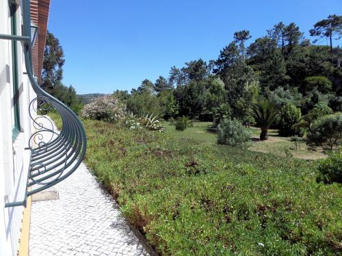 Quinta Da Torre - image 9