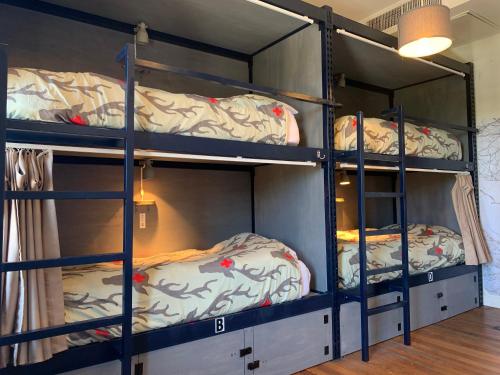 Hostel Fish - image 14