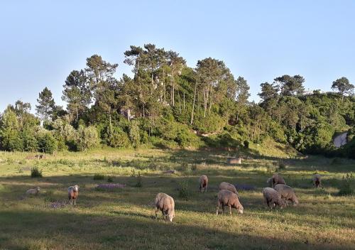 Quinta Da Torre - image 8