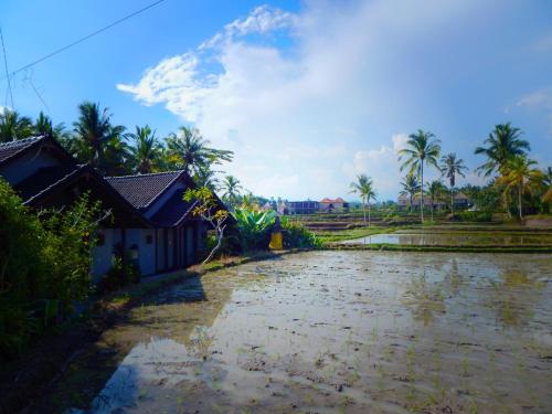 Amaya Cottage Ubud by Svaha Hospitality