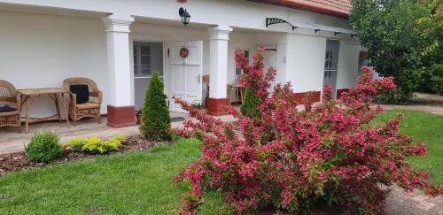 Harmónia Parasztház és Apartman (Harmonia Paraszthaz es Apartman) in โปรอสซโล่