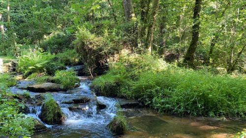 Studio aux Sources de la Chabanne