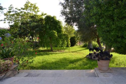 Finca rústica Son Barbot - image 8