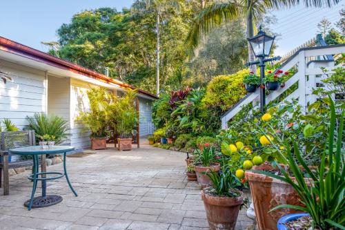 アボカド サンンセット B&B