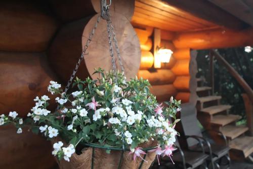Facilities, Excellent log house with a sauna in Lahemaa! in Hara