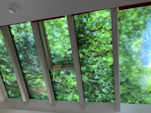 Hotel B54 Heidelberg - image 14